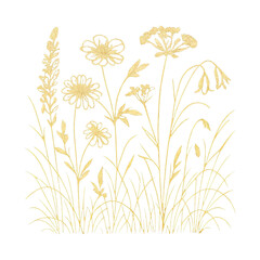 Fototapeta premium PNG Elegant golden wildflower illustration.