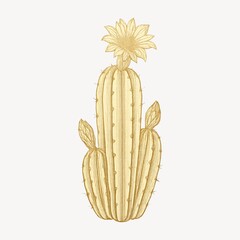 Fototapeta premium Golden cactus illustration with flower