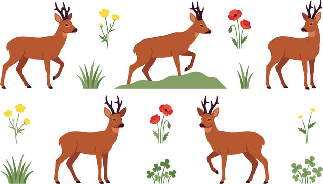 Roe Deer Vector Illustration Set Featuring Horned Bucks in Various Poses, Meadow Wildflowers, Poppies, Grass, and Forest Wildlife Nature Elements