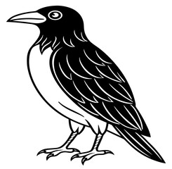 Fototapeta premium crow on a branch