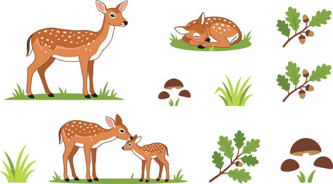 Cute Forest Deer and Spotted Fawn Vector Illustration Set with Oak Leaves Acorns Mushrooms and Green Grass for Autumn Woods Wildlife Graphic Designs