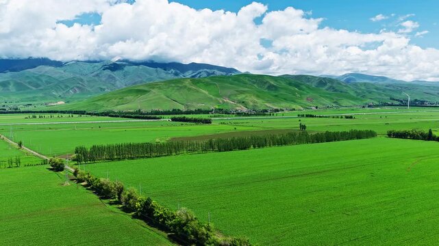 Aerial view of lush green agricultural fields and rolling hills under a cloudy blue sky, showcasing scenic rural landscape and farming land.