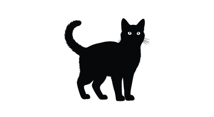 Silhouette of a standing black cat with upright tail and alert posture. © dori