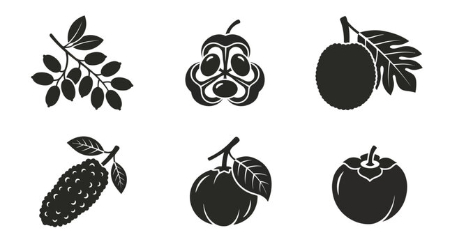 Flat vector icon set featuring six rare tropical fruits: Miracle fruit, Ackee, Breadfruit, Cempedak, Santol, Velvet apple, monochrome solid silhouette, botanical accuracy