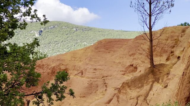 Red and orange ochre cliffs beside a green wooded hillside