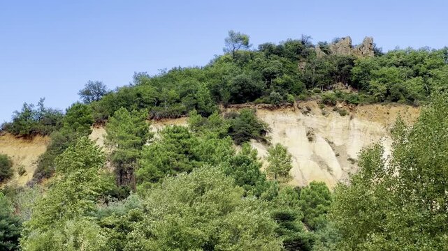 Ochre cliffs and eroded pinnacles rising above green pine woodland