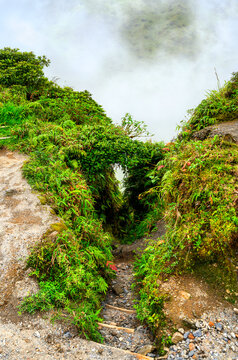 Scenic hiking path with wooden steps descending into the mist on Mount Pelee in Martinique, surrounded by lush tropical vegetation