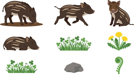 Wild Boar Piglet Vector Icon Set with Striped Shoats Clovers Grass Yellow Dandelion Flowers Fern Fiddlehead and Rock Elements for Nature Wildlife Designs © tanjina
