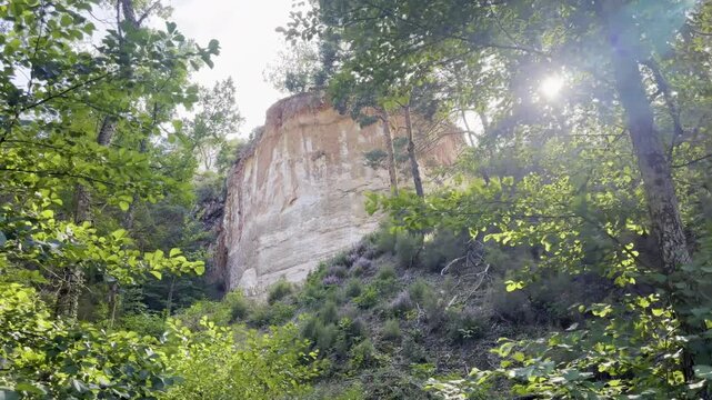 An ochre quarry cliff face glimpsed through lush green forest foliage
