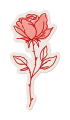 Fototapeta premium PNG Elegant red rose illustration sticker.