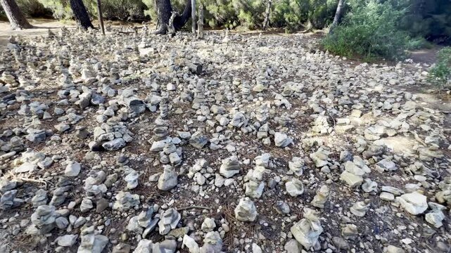 Hundreds of small balanced stone cairns spreading across the pine