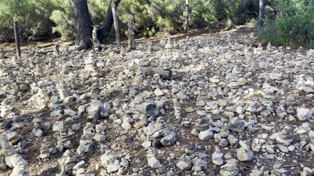 A field of hundreds of small stacked stone cairns covering the forest
