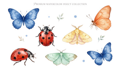 ​Watercolor butterfly and ladybug illustration element set with minimalist cute hand painted insect bug and spring garden clip art isolated on white background © MdAtaur