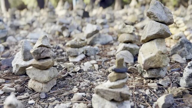Field of many small balanced stone cairns rock stacks on pine-needle