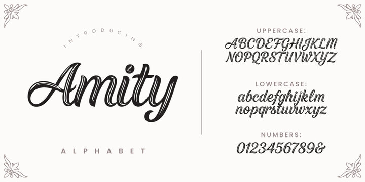 Amity elegant signature script font for wedding invitations and luxury fashion brand logos