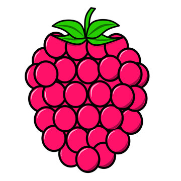 Raspberry colorful illustration for stickers, clipart, and design elements
