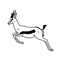 Fototapeta premium Gazelle jumping in mid-air on isolated white background featuring a sharp monochrome minimalist style for wildlife conservation