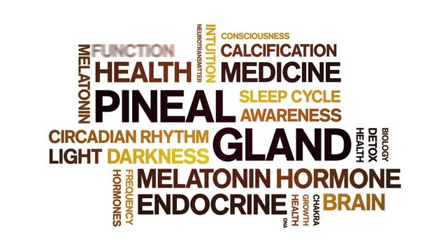 Pineal Gland animated word cloud-animation tag kinetic typography seamless loop.