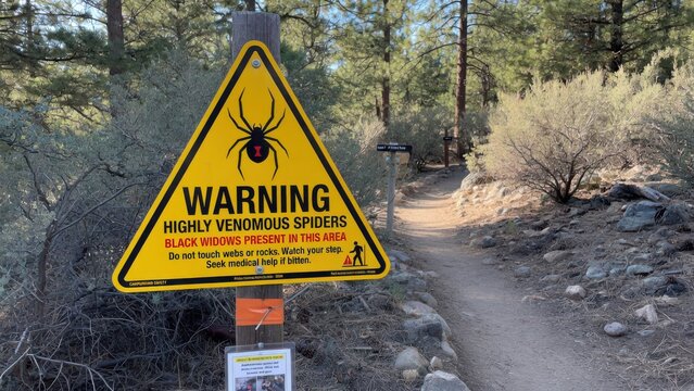 A yellow triangular danger sign stands on a wooden post along a mountain trail to warn hikers about the presence of venomous black widow arachnids that could be lurking in the nearby rocky