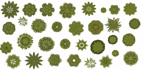 Trees And Plants Top Down View Vector Illustration On White Background © Rathindranath