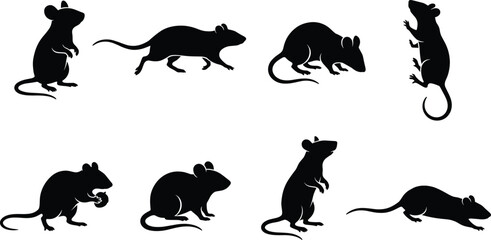Obraz premium Black Silhouette Set of Mice and Rats in Various Poses on White BackgroundBlack Silhouette Set of Mice and Rats in Various Poses on White Background