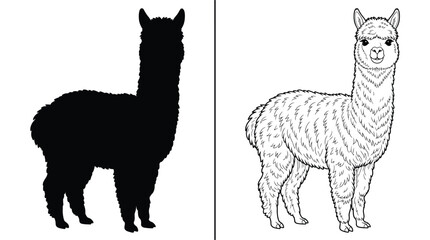 Alpaca Mammal Silhouette and Detailed Line Art Illustration Concept Side by Side © MD