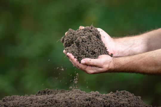 Soil falls over garden ground. Human hands hold organic earth. Fertile topsoil forms rough surface. Soil quality fits farming.