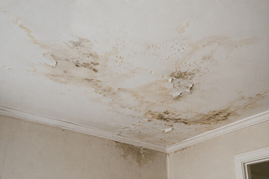 A ceiling with extensive water damage and peeling paint, showing mold and discoloration near the corner of a room.