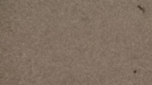 Extreme close up of authentic vintage 16mm film grain featuring an organic flickering noise texture as a cinematic retro background overlay