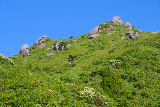 鹿児島県の屋久島、南東側から望む栗生岳