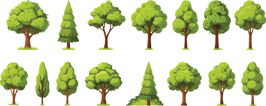 Collection of diverse cartoon trees with green foliage and brown trunks