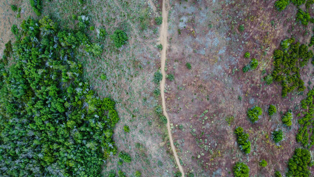 Aerial View of Fernwood Cabin Trail Wasatch Mountains Layton Utah in Spring