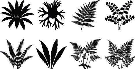 Black fern leaves and tropical fronds silhouette vector set isolated on white background © MDARIFUL