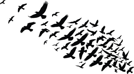 Flock of birds flying silhouette vector illustration shaped like a feather isolated on a white background © Utpal