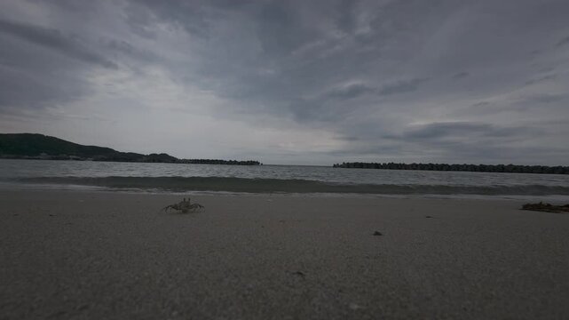 Secluded Itoshima Beach and Ocean Horizon under Overcast Sky, Fukuoka Japan, 4K DJI D-Log M RAW Asset for Color Grading