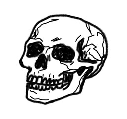 Obraz premium Hand Drawn Black and White Human Skull Illustration