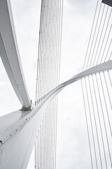Fototapeta premium Bridge cables of the Baisha Bridge in Liuzhou, Guangxi