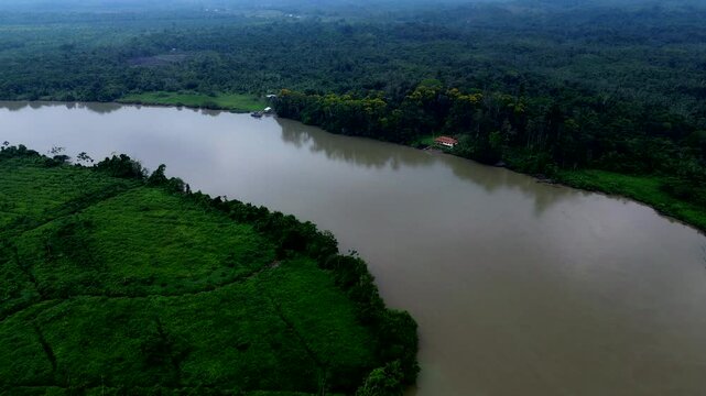 Aerial View of Wide Amazon River in Ecuador with Dense Rainforest Banks, Green Fields, Brown Water and Remote Tropical Wilderness Landscape