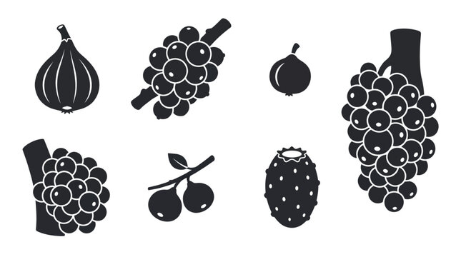 Flat vector icon set featuring six fig family fruits: Common fig, Cluster fig, Strangler fig fruit, Sycamore fig, Indian fig, Prickly pear fruit