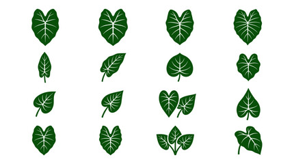 Various tropical green leaf illustration set © togor