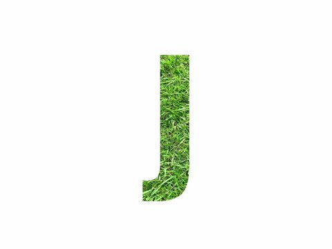 Fast switching alphabet grass letters from a to z, animated alphabet on white background. 