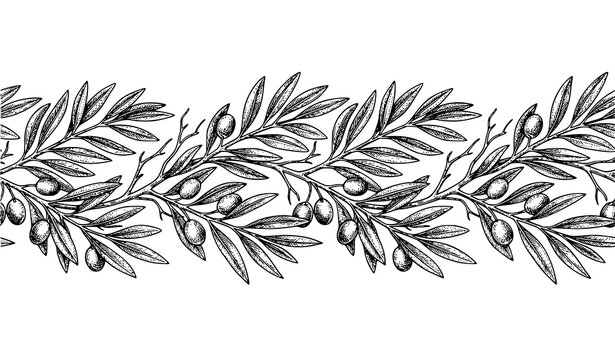 Vintage Style Olive Leaf Continuous Horizontal Border Pattern Vector Illustration for Fabric Print Packaging and Stationery Design Isolated on White Background