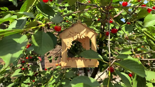 Wooden Bird Feeder Hanging In Cherry Tree