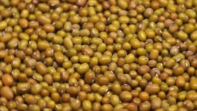 Rotation of mung bean as a texture close-up. Top side view	
