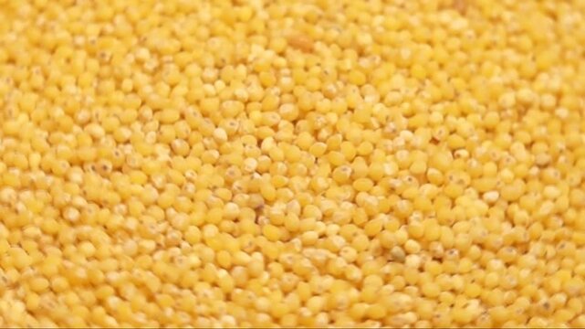 Rotation of millet as a texture close-up. Topside view	

