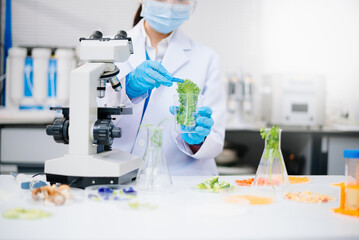 Fototapeta premium Team Scientist testing food samples in lab with microscope, vegetables, and meat for safety, nutrition, and biotechnology