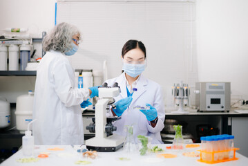Fototapeta premium Team Scientist testing food samples in lab with microscope, vegetables, and meat for safety, nutrition, and biotechnology