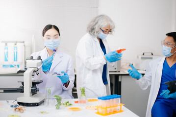 Fototapeta premium Team Scientist testing food samples in lab with microscope, vegetables, and meat for safety, nutrition, and biotechnology