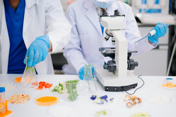 Fototapeta premium Scientists in a laboratory use a microscope and glassware to research organic food safety, plant biology, and biotechnology.
