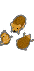 A cute European hedgehog (Erinaceus europaeus) illustration © Iona